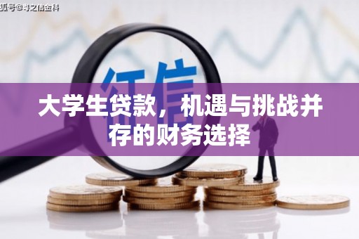 文昌大学生贷款，机遇与挑战并存的财务选择