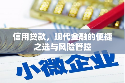 文昌信用贷款，现代金融的便捷之选与风险管控