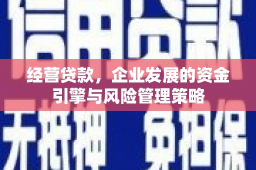文昌经营贷款，企业发展的资金引擎与风险管理策略