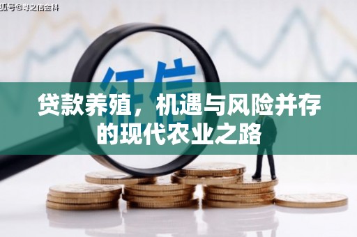 文昌贷款养殖，机遇与风险并存的现代农业之路