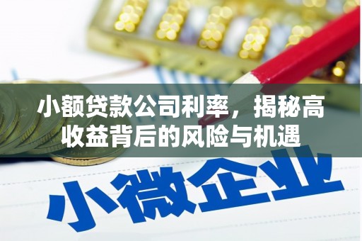 文昌小额贷款公司利率，揭秘高收益背后的风险与机遇