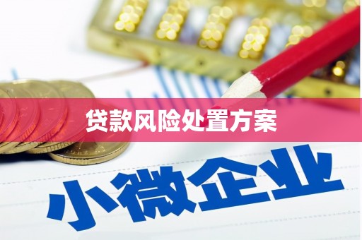 文昌贷款风险处置方案