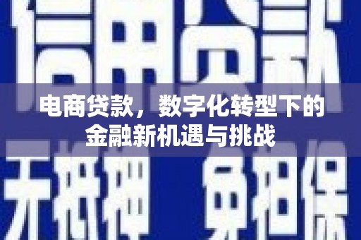 文昌电商贷款，数字化转型下的金融新机遇与挑战