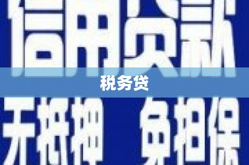 文昌税务贷