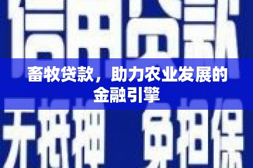 文昌畜牧贷款，助力农业发展的金融引擎