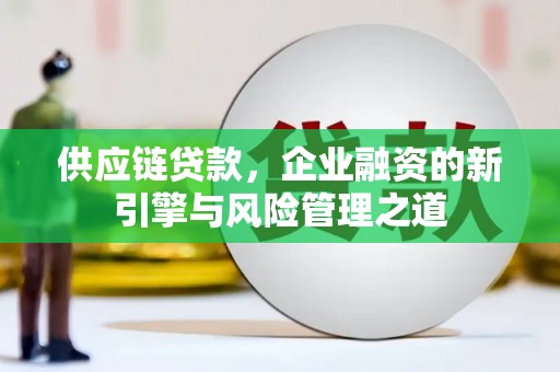文昌供应链贷款，企业融资的新引擎与风险管理之道