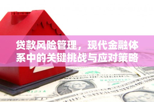 文昌贷款风险管理，现代金融体系中的关键挑战与应对策略