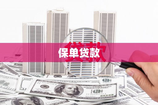 文昌保单贷款
