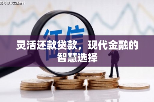 文昌灵活还款贷款，现代金融的智慧选择