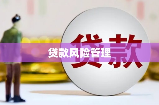 文昌贷款风险管理