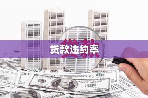 文昌贷款违约率