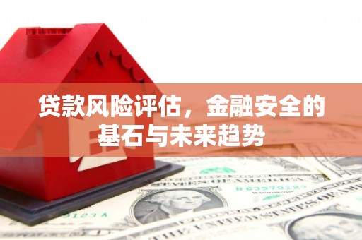 文昌贷款风险评估，金融安全的基石与未来趋势