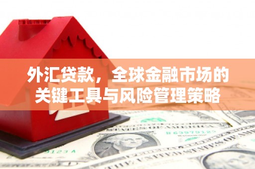 文昌外汇贷款，全球金融市场的关键工具与风险管理策略