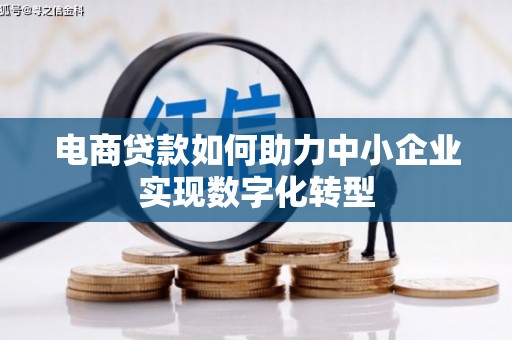 文昌电商贷款如何助力中小企业实现数字化转型