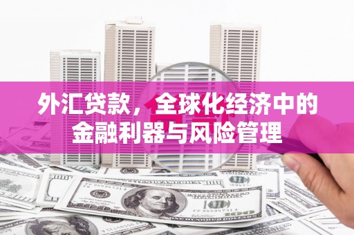 文昌外汇贷款，全球化经济中的金融利器与风险管理