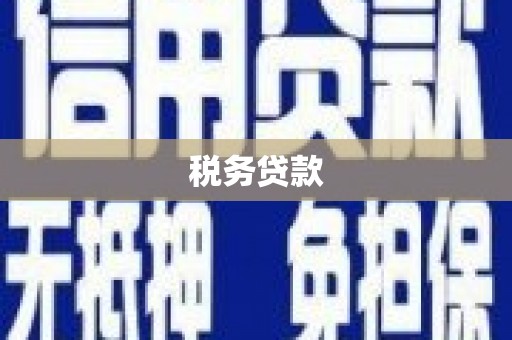 文昌税务贷款