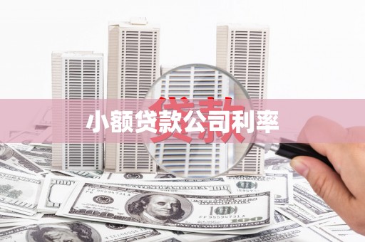 文昌小额贷款公司利率
