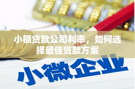 文昌小额贷款公司利率，如何选择最佳贷款方案