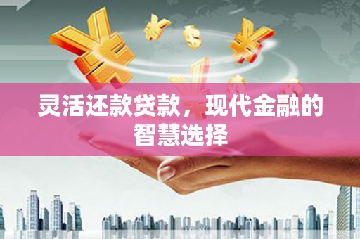 文昌灵活还款贷款，现代金融的智慧选择