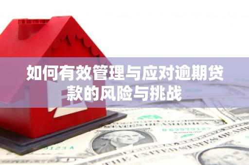 文昌如何有效管理与应对逾期贷款的风险与挑战