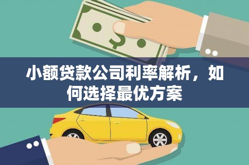 文昌小额贷款公司利率解析，如何选择最优方案