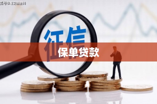 文昌保单贷款