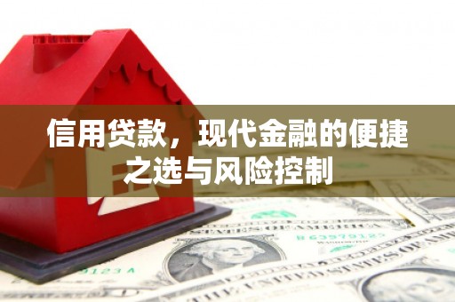 文昌信用贷款，现代金融的便捷之选与风险控制