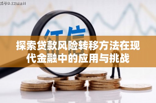 文昌探索贷款风险转移方法在现代金融中的应用与挑战