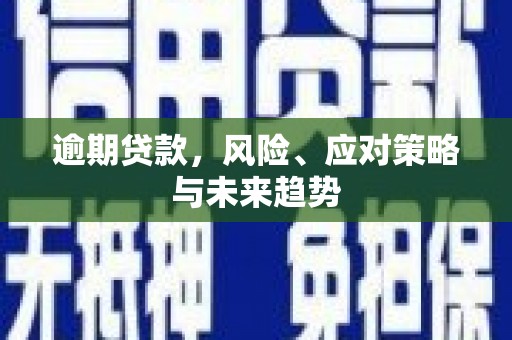文昌逾期贷款，风险、应对策略与未来趋势