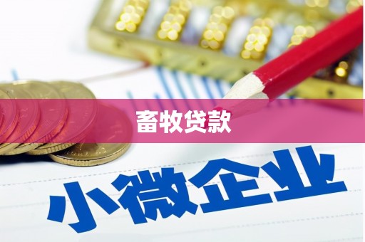 文昌畜牧贷款