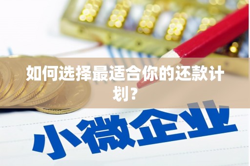 文昌如何选择最适合你的还款计划？