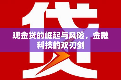 文昌现金贷的崛起与风险，金融科技的双刃剑
