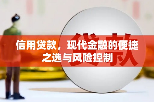 文昌信用贷款，现代金融的便捷之选与风险控制