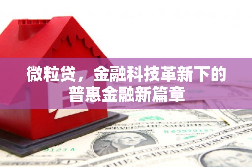 文昌微粒贷，金融科技革新下的普惠金融新篇章