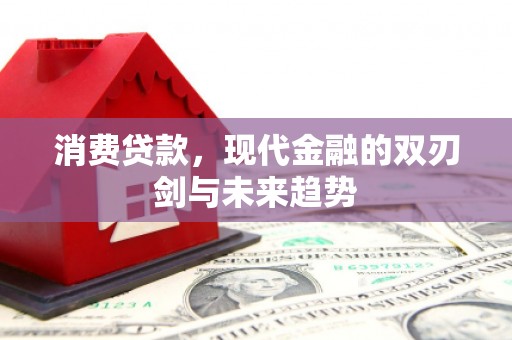 文昌消费贷款，现代金融的双刃剑与未来趋势