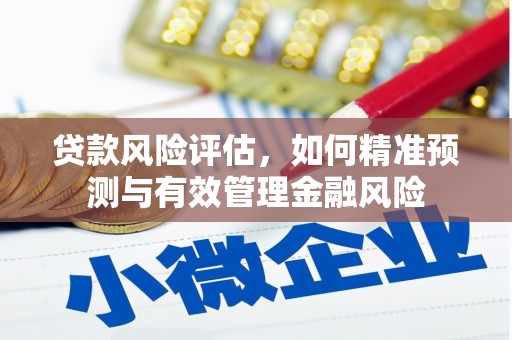 文昌贷款风险评估，如何精准预测与有效管理金融风险