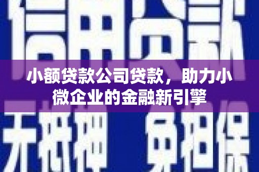 文昌小额贷款公司贷款，助力小微企业的金融新引擎