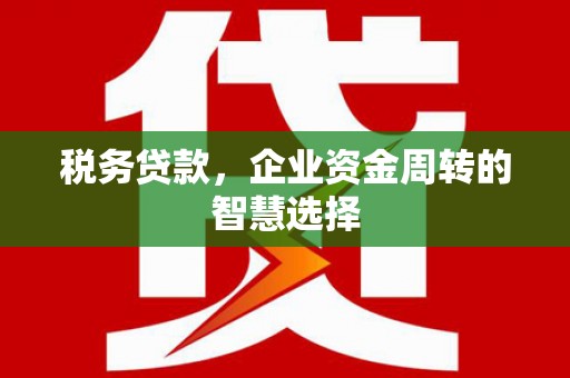 文昌税务贷款，企业资金周转的智慧选择