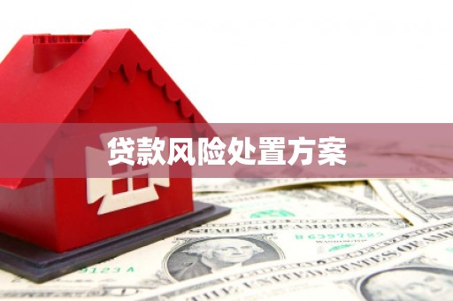 文昌贷款风险处置方案