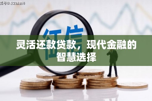 文昌灵活还款贷款，现代金融的智慧选择