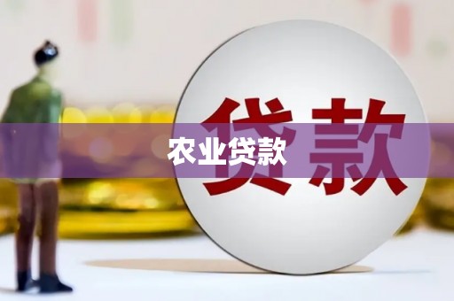 文昌农业贷款