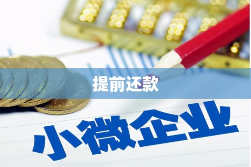 文昌提前还款