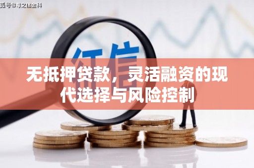 文昌无抵押贷款，灵活融资的现代选择与风险控制