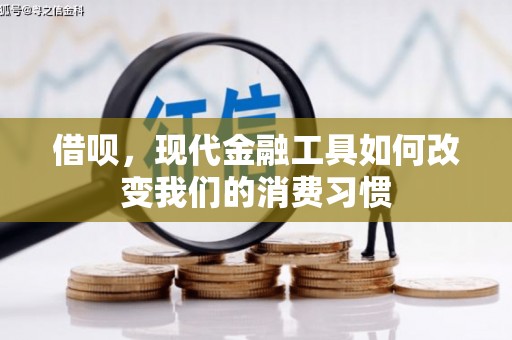 文昌借呗，现代金融工具如何改变我们的消费习惯