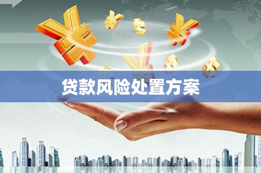 文昌贷款风险处置方案