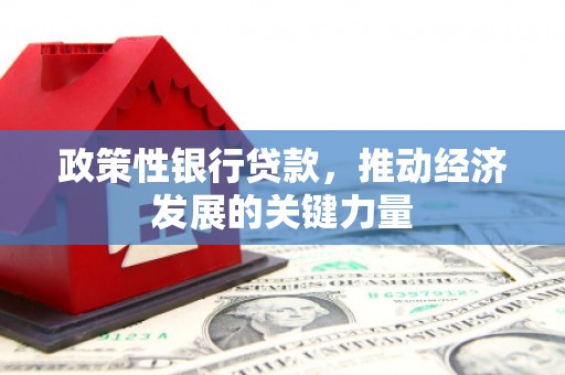 文昌政策性银行贷款，推动经济发展的关键力量