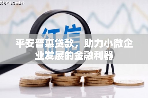 文昌平安普惠贷款，助力小微企业发展的金融利器