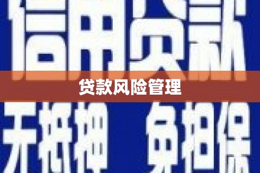 文昌贷款风险管理