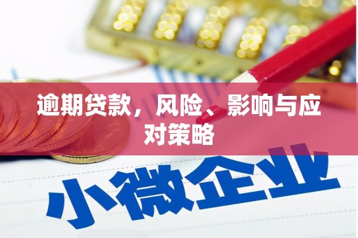 文昌逾期贷款，风险、影响与应对策略