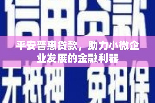 文昌平安普惠贷款，助力小微企业发展的金融利器